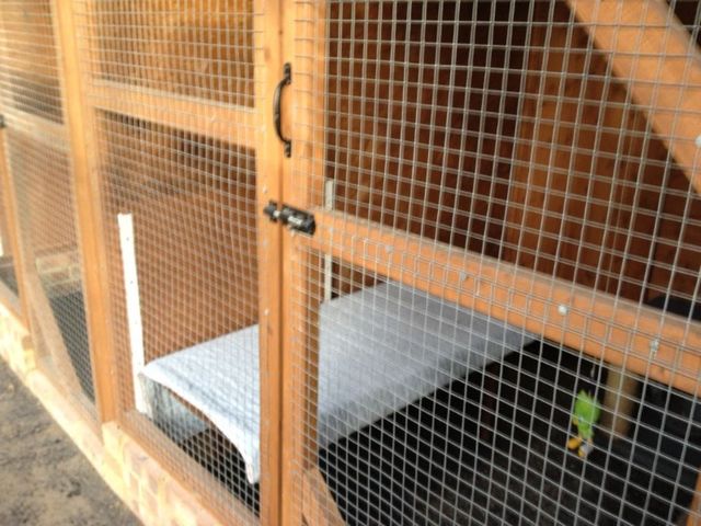 the facilities at our cat boarding accommodation