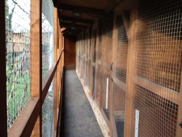 the facilities at our cat boarding accommodation